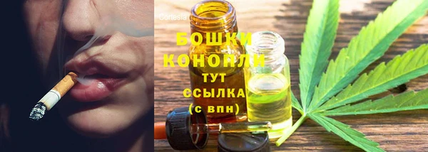 крисы Армянск