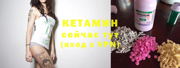 крисы Армянск