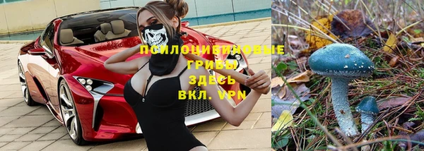 крисы Армянск